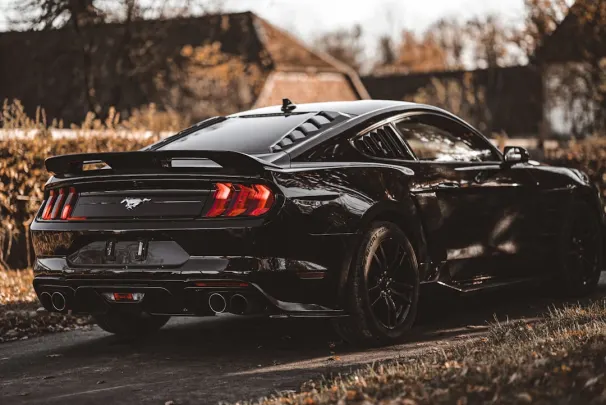 Bizz Kasino Apl Android/iOS